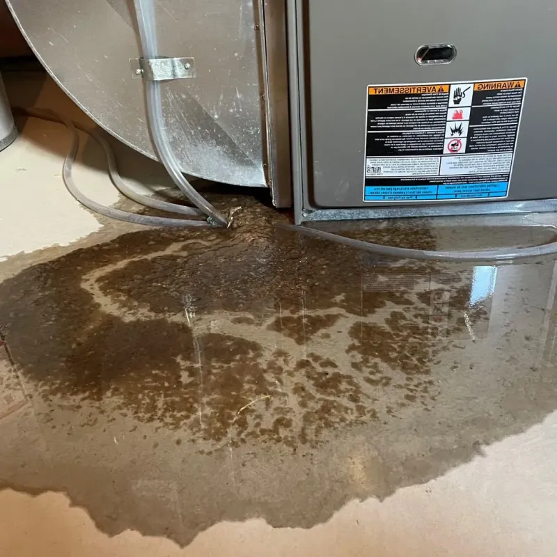 Pipe Burst and Leak Restoration in Deadwood, SD
