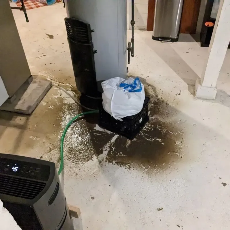 Sewage Backup Cleanup Service in Deadwood, SD